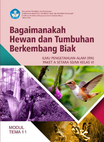 Cover Modul 11 - IPA | Paket A