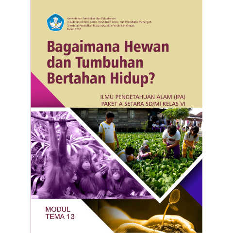 Cover Modul 13 - IPA | Paket A